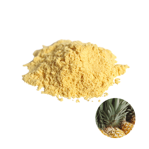 Fabricante de Vietnam Ofrece Precio Competitivo, Venta Caliente de Polvo de Cáscara de Piña para Alimentación, Empacado en Bolsas de Varios Tamaños - Product Image 1