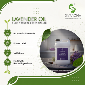 Huile essentielle de lavande naturelle pour les acheteurs B2B |   Huile aromatique à la lavande en gros pour parfums, soins de la peau, soins capillaires, savons, bougies - Product Image 2