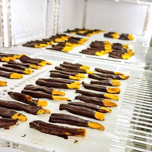 Ready to Eat 250g 3.5oz Tropical <b>Chocolate</b> Dipped Mango Soft Dried Mango Sweet Chewy Premium Fruit Snack Vietnam Manufacturer - Product Image 5