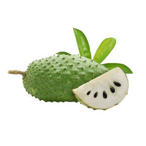 Guanábana congelada Premium 100 por ciento fruta tropical fresca de Vietnam al mejor precio para mercados de exportación al por mayor - Product Image 1