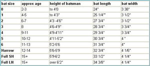 Customized Cheap Tennis Training <b>Bat</b> Natural Wood Plain Cricket <b>Bats</b> Soft Kashmir Willow for Match Play and Soft <b>Ball</b> Cricket - Product Image 5