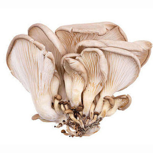<b>Dried</b> Mushroom <b>Dried</b> Without Stem - Product Image 3