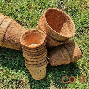 EXPAD Pot de culture écologique en fibre de coco biodégradable pour semis, pot de culture naturel pour l'horticulture et les pépinières (Ben Tre) - Product Image 4