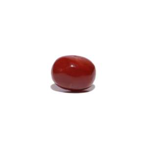 Natural Loose Gemstone-3.34 Carat Certified Red Coral-Raw Alexandrite & Aquamarine Mix - Product Image 1