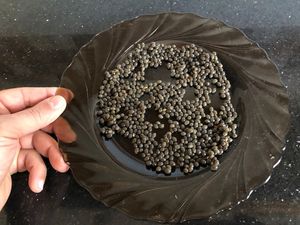 เมล็ดมะละกอแห้งเวียดนามขายส่ง |   เครื่องจักรทำความสะอาดวัตถุดิบจำนวนมากสำหรับการแปรรูปอุตสาหกรรมทั่วโลก - Product Image 4