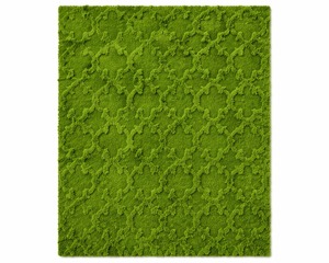 Tapis en laine verte, tapis tufté à la main à poils coupés |   Tapis en peluche style herbe |   Tapis de salon moderne |   Tapis doux fait main antidérapant MOQ-1 - Product Image 1