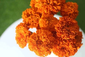 BesMarigold - Polvo de Extracto Herbal de Flores de Caléndula, Grado Alimenticio, Extraído con Solvente, Silvestre, Marca Privada para Uso Alimentario - Product Image 3