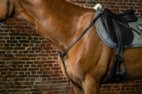 Plastron de cheval en cuir surélevé carré de qualité supérieure Durable longues bandes élastiques mousquetons selle boucles en laiton cheval Durable