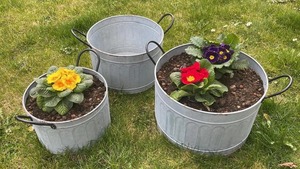Panier de rangement décoratif en métal galvanisé pour plantes vertes, idéal pour l'entrée de la maison, le jardin et l'extérieur - Product Image 5