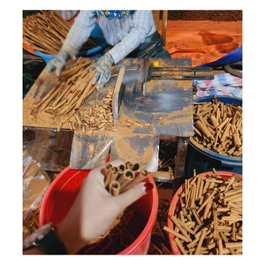 Palitos de Canela, Especias Naturales para Cocinar, Hornear y Té, 100% Puro Orgánico, Aroma Rico, Sabor Intenso, 99 Gold Data Catarina Vietnam - Product Image 4