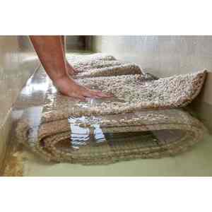 Limpiador de alfombras para el hogar personalizable con suave fragancia de Lima Champú de lavado suave para eliminar manchas en alfombras y alfombras - Product Image 3