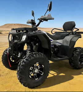 Quad à deux places, édition étendue, 200 cm3, 4 temps, transmission par chaîne CVT, automatique, avec certification CE - Product Image 2