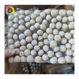 ไม้กาแฟธรรมชาติสำหรับสุนัขแทะเล่น ของขวัญสุดพรีเมียมสำหรับสัตว์เลี้ยง ของเล่นไม้กาแฟสำหรับสุนัข ใช้ฝึกสุนัขและให้ความบันเทิง - Product Image 6