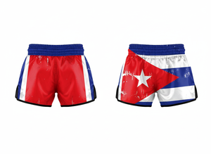 Vêtements de sport pour arts martiaux, shorts de Muay Thai, shorts de combat MMA, shorts de kickboxing, entraînement, impression par sublimation personnalisée, tissu polyester - Product Image 2