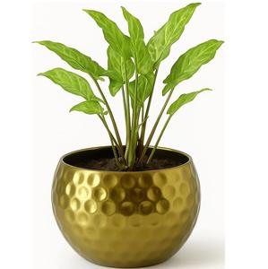 Maceta Irrompible Hecha a Mano con Acabado de Latón, Decoración para Interiores y Exteriores, Diseño Ecológico y Duradero - Product Image 1