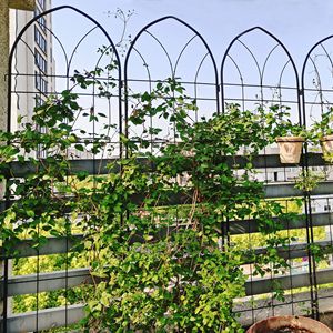 Set di 2 tralicci da giardino in metallo nero da 200 cm x 50 cm, antiruggine, per piante rampicanti, recinzioni e cancelli - Product Image 6