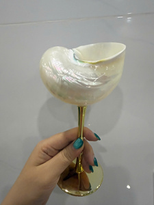 Vietnam factory Natural Shell Wine Glass With Gold Stem Pearl Finish Coastal Decoration home <b>garden</b> Christmas stockings - Product Image 1
