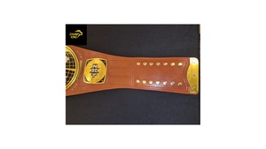 Ceintures de championnat de lutte personnalisées en alliage de zinc modèle PK 007 2026 - Product Image 2