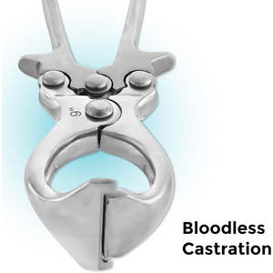 Castrador de Ganado sin Sangre de Acero Inoxidable de 9 Pulgadas, de Grado Quirúrgico, Reutilizable, Resistente, para Veterinaria y Caballos - Product Image 5