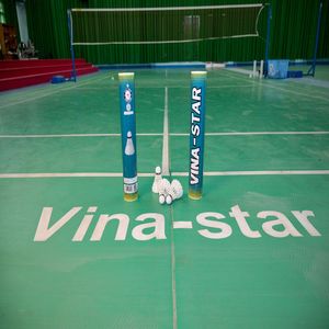 Volants de badminton professionnels en plumes d'oie, 2 couches, légers, durables, écologiques, pour un vol stable – Vente en gros - Product Image 6