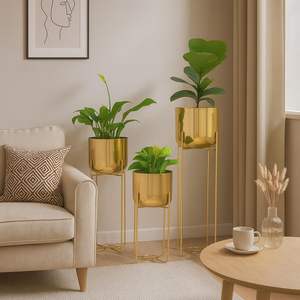 Maceta de hierro natural para el hogar, perfecta para uso en interiores y exteriores, como oficinas y hoteles, para exportación mundial desde India. - Product Image 5