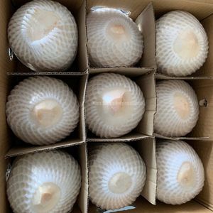 Fournisseur de noix de coco fraîches du Vietnam, noix de coco vertes jeunes de qualité supérieure - Product Image 5