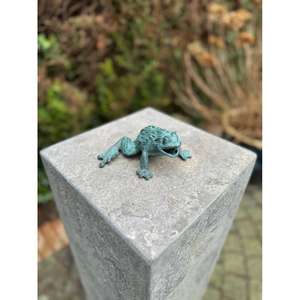 Miniature décorative en fonte de grenouille pour la décoration de jardin, finition antique, sculpture de grenouille à prix avantageux - Product Image 3