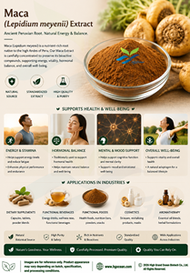 Suministro directo de fábrica HGO de extracto de Maca natural puro (Lepidium meyenii) (grado alimenticio) Especificación 10:1 (extracto de proporción) - Product Image 2