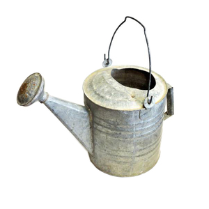 Fabricante y Proveedor de Regaderas de Diseño Personalizado para Plantas Verdes, Regadera de Metal de Hierro Galvanizado con Acabado Oxidado - Product Image 4