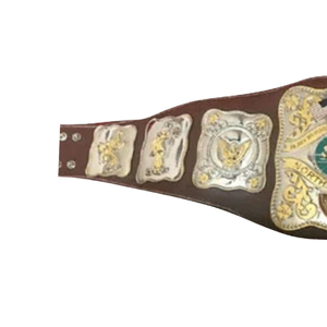 Cinturón de Campeonato de Lucha Libre Norteamericana, Trofeo Personalizado de Alta Calidad para Coleccionistas - Product Image 3