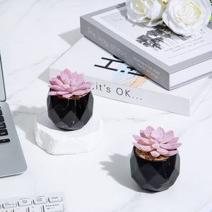 Piante Succulente Artificiali Carine con 2 Vasi in Ceramica Nera per Decorazione in Ufficio, Bagno, Cucina o Camera da Letto - Product Image 5