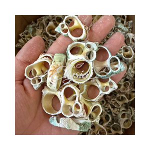 Tranches de coquillages coupées à la main, morceaux naturels de coquillages papillon, matériau artisanal DIY pour la création de fleurs, bijoux et art décoratif - Product Image 3