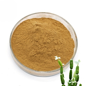สารสกัดซิสซัส ควอดรังกูลาริส แบบขายส่ง อัตราส่วน 20:1 ปริมาณมาก 100% บริสุทธิ์และเป็นธรรมชาติ ผงซิสซัส ควอดรังกูลาริส ราคาดีที่สุดจากอินเดีย - Product Image 1