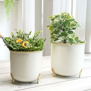 Juego de Jarrones Modernos para Mesa, Macetas de Metal Blanco con Borde Dorado, Diseño Acanalado, Maceteros Decorativos para Uso en Interiores - Product Image 3