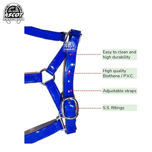 Halter de cheval de qualité supérieure en cuir pvc pp avec raccords ss pour l'équitation en gros - Product Image 2