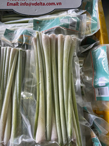 ตะไคร้สับแช่แข็งพรีเมียม – ตะไคร้แท้ธรรมชาติ 100% ได้รับการรับรองมาตรฐาน ISO และ HACCP ผู้จัดจำหน่ายส่งออกจากเวียดนาม - Product Image 2
