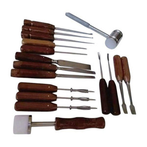 Juego de Instrumentos Quirúrgicos Ortopédicos Manuales de Primera Calidad, 17 Piezas, Acero Inoxidable, Herramientas para Cirugía Ósea, Entrenamiento Médico Veterinario - Product Image 1