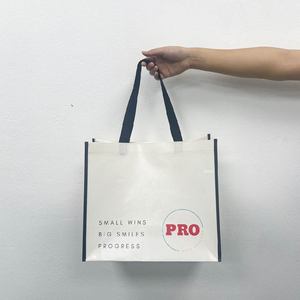 Sac fourre-tout réutilisable en PP non tissé laminé avec logo personnalisé, conforme aux normes ISO9001 et BSCI, avec poignée en sangle PP, pour usage quotidien - Product Image 2