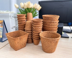 Macetas de Fibra de Coco para Jardinería en Casa, Estilo Simple, Artículos de Jardín - Product Image 5