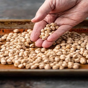 Garbanzos Kabuli Orgánicos de Primera Calidad para Exportación, 25 kg a Granel, Venta al por Mayor, Naturales, Secos, Ricos en Proteínas y Fibra, Envasados al Vacío - Product Image 3