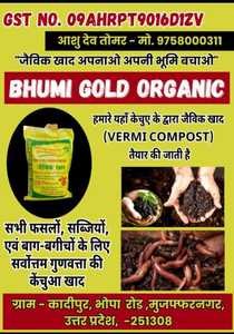 Bhumi Gold Organic <b>Cow</b> Dung Vermicompost Powder 100% Purity Quick Release Fertilizer Dry Storage Uttar Pradesh 24 Months - Product Image 2