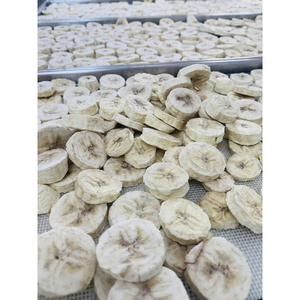 Chips de banane légères avec traitement lyophilisé, goût tropical sucré et texture croustillante - Product Image 2