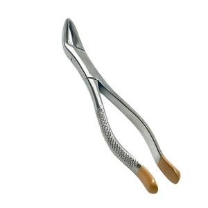 Forceps d'extraction dentaire en acier inoxydable avec poignée moletée, instrument chirurgical manuel de classe I - Product Image 1