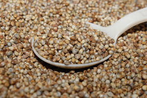Millet perlé biologique premium - Product Image 4