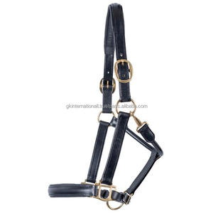 Licol en cuir de qualité supérieure pour usage quotidien avec rembourrage doux et confortable et quincaillerie en laiton réglable - Product Image 2