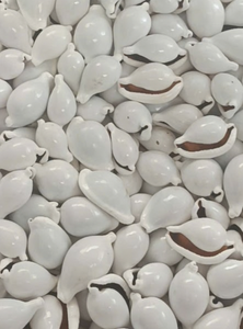 Conchas de Cauri Blancas Naturales Pulimentadas al por Mayor para Fabricación de Joyería y Decoración DIY - Product Image 5