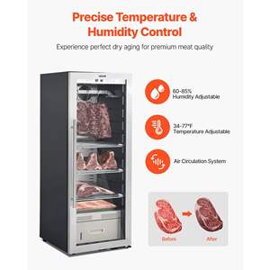 232 LBS Freestanding <b>Beef</b> Aging Machine Dry Ager Refrigerator Precise Kitchen Commercial Kitchen Refrigeration Equipment - Product Image 3