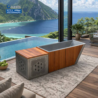 Baignoire de trempage à froid pour Airbnb, en acier inoxydable 316 et cèdre rouge, certifiée ETL, avec WIFI intelligent, équipement de resort hollandais, à retour sur investissement élevé