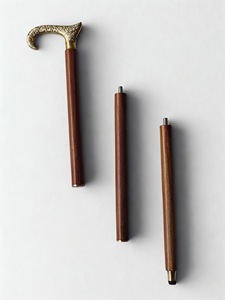 Bâtons de marche rustiques modernes en bois naturel écologique avec poignée en laiton poli, idéaux pour les cadeaux - Product Image 4