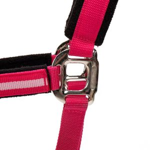 Luxury Designer Horse <b>Halter</b> – Stylish Modern Equestrian Fashion - Product Image 2